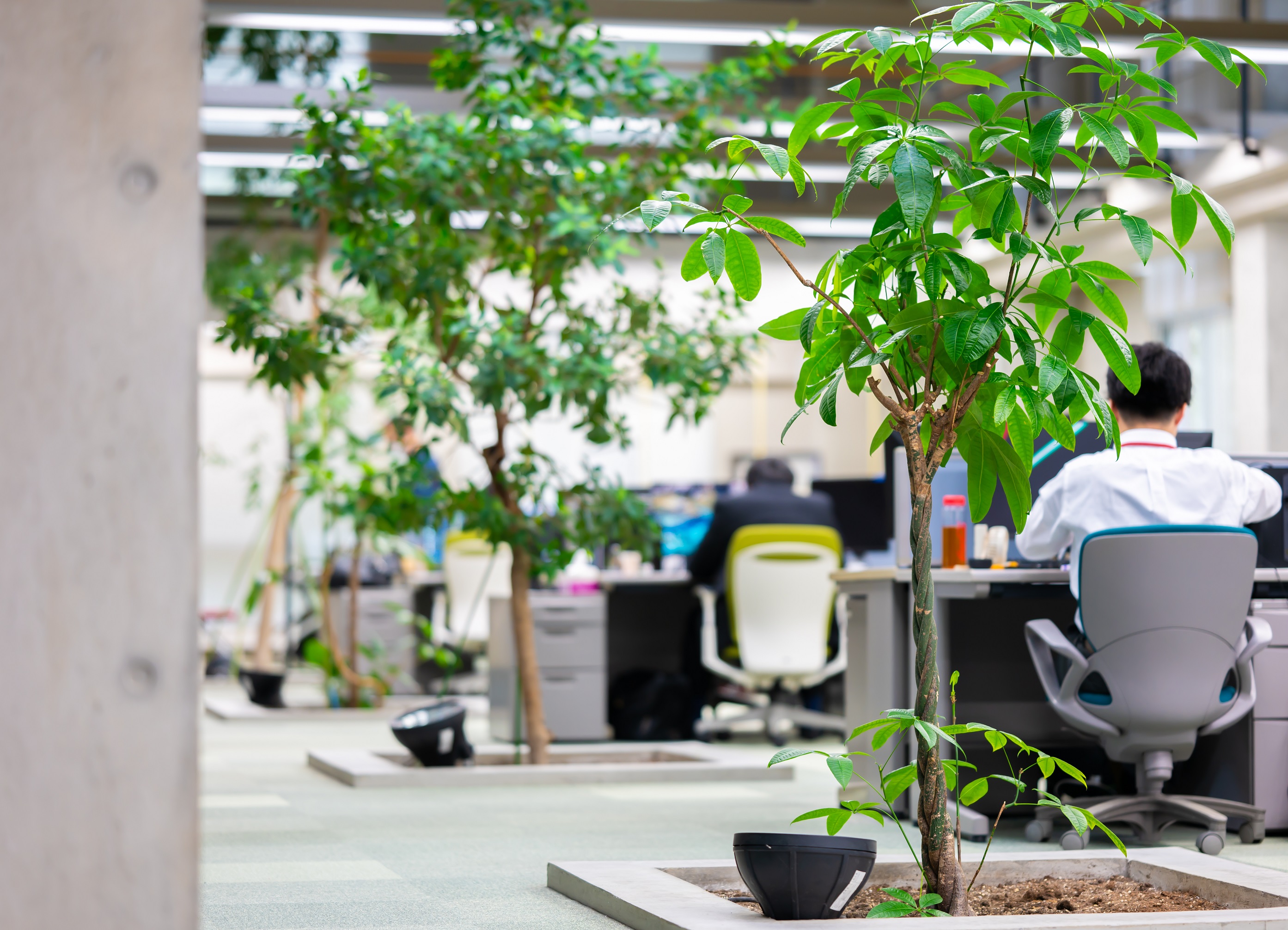 【函館事業所】太陽光を採り入れ、樹木を配置した快適なオフィスです